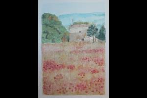 Campo di papaveri, anno 2012  -  acquerello su carta, cm 30x40  (collezione privata)   